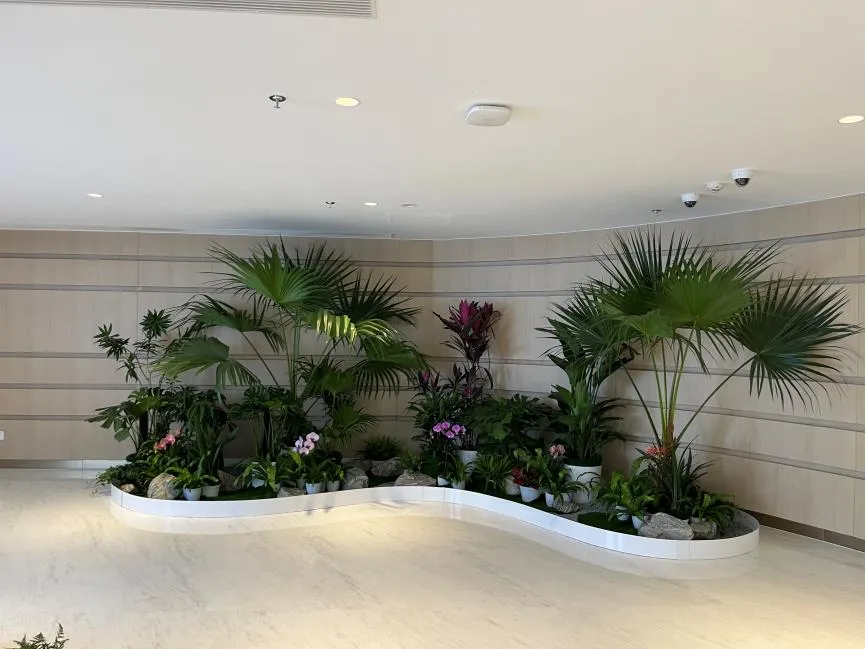 深挖宁波奉化绿化养护，为城市添一抹醉人的绿！